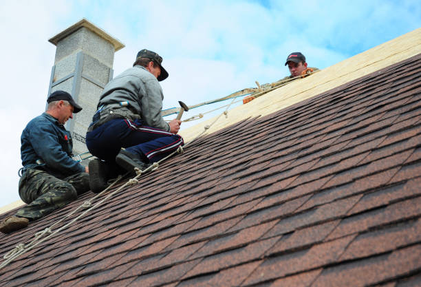 Professional Roofing Contractor in Altamont, KS
